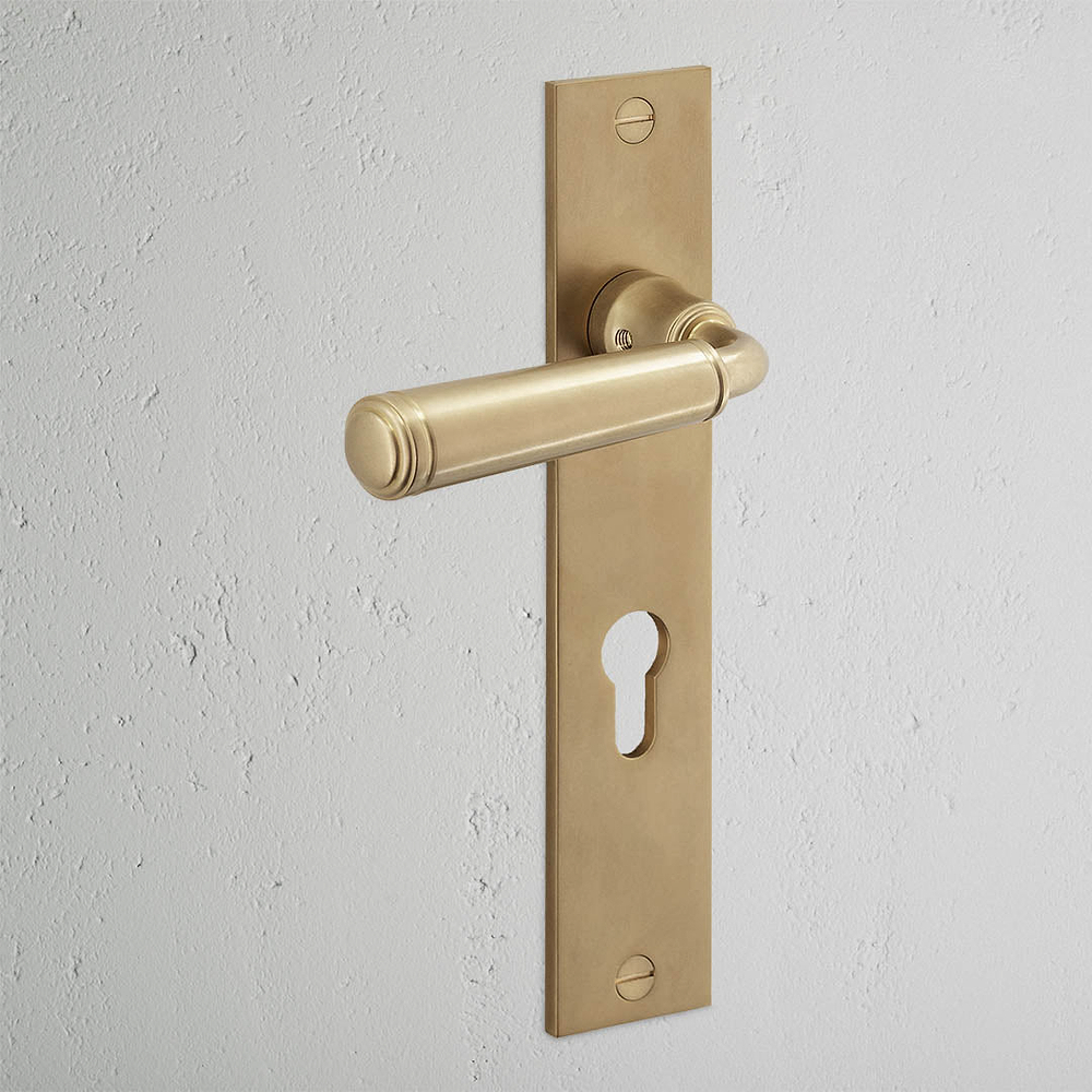 Digby Long Plate Sprung Door Handle & Euro Lock - Antique Brass