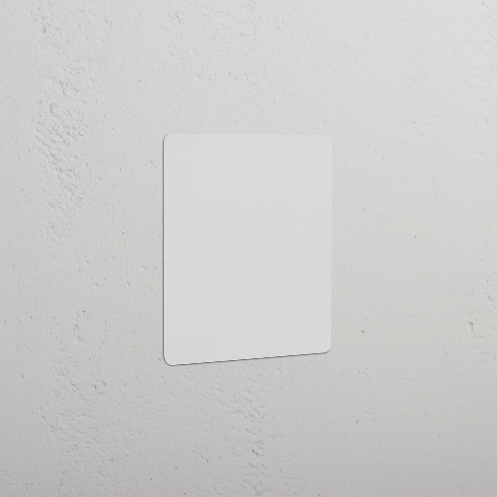 Kew 2G Blank Plate - Paintable