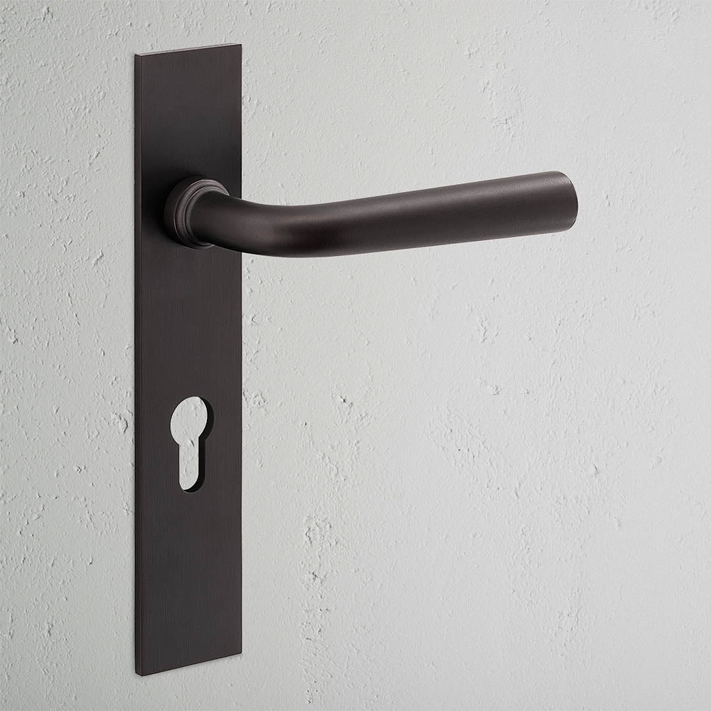 Apsley Long Plate Sprung Door Handle & Euro Lock - Bronze