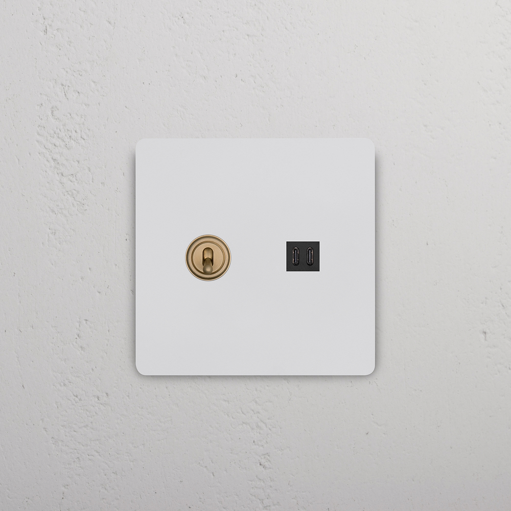 Grove 2G Toggle Switch & Fast Charge USB – Paintable Antique Brass | Black