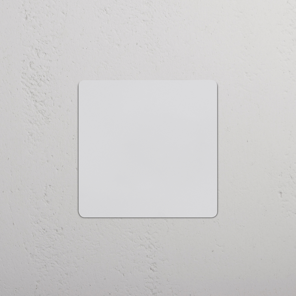 Kew 2G Blank Plate - Paintable