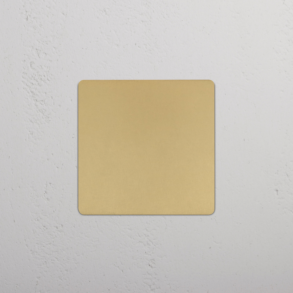 Kew 2G Blank Plate - Antique Brass