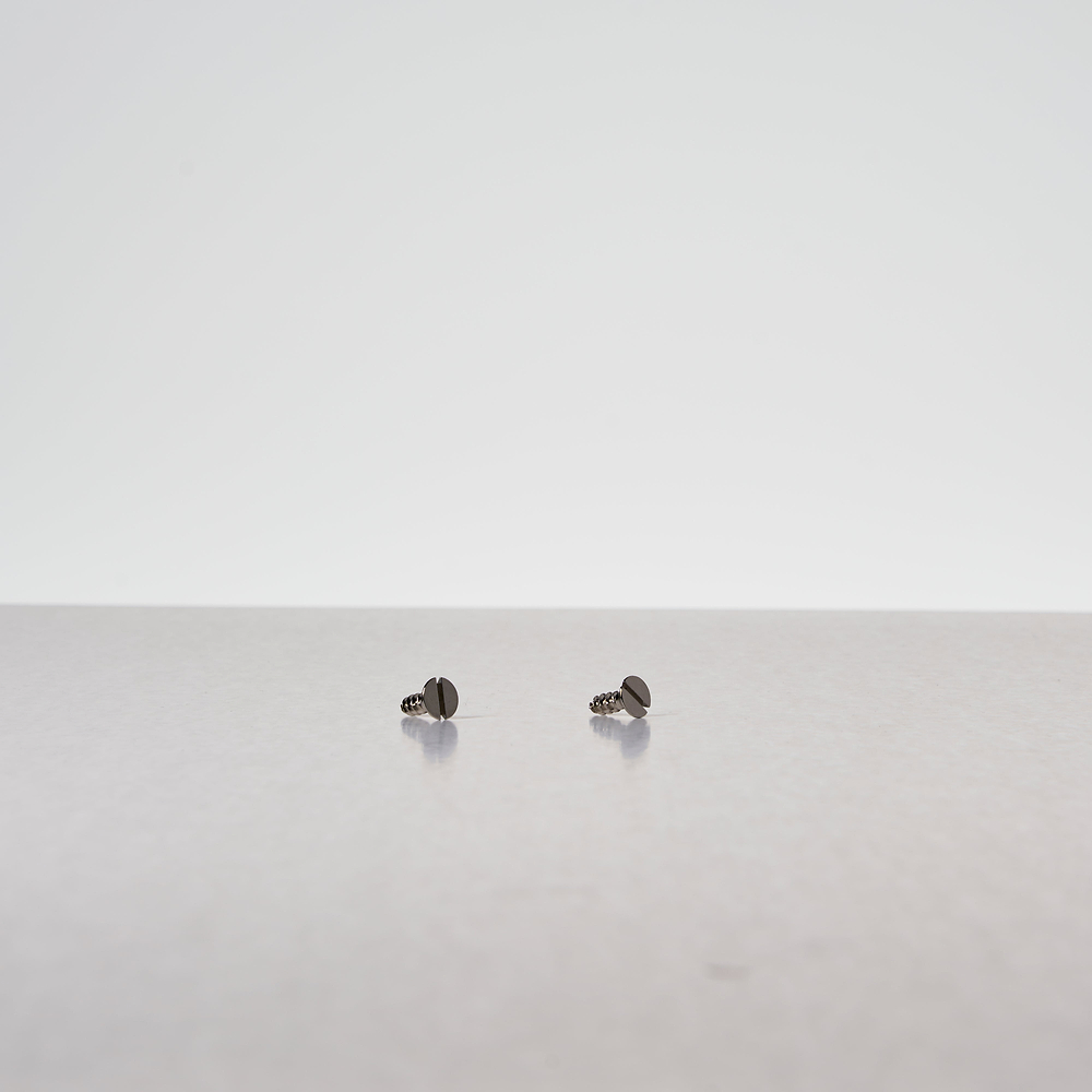 4.5 mm x 14 mm selbstschneidende Schraube x2 – Poliertes Nickel