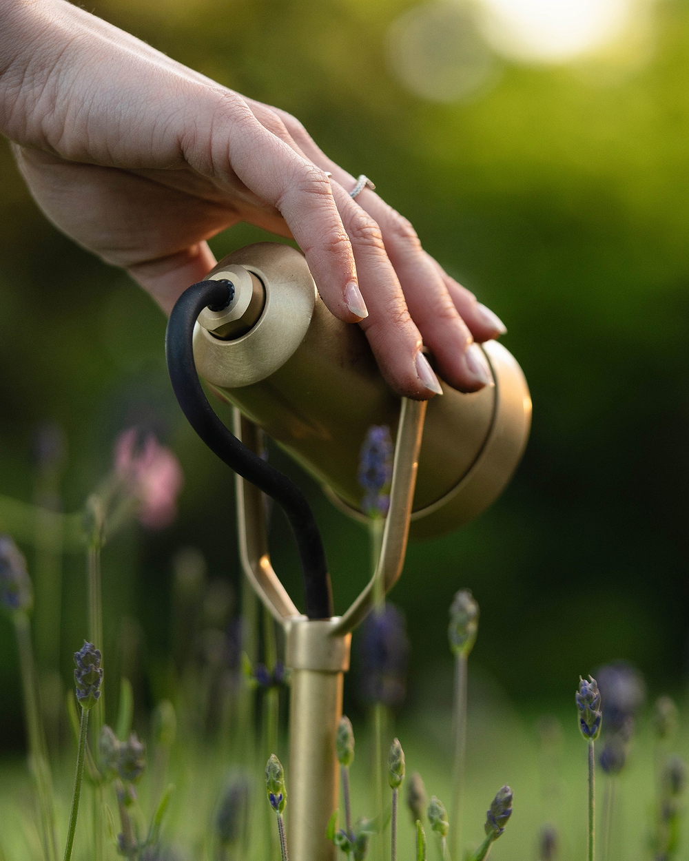 Cambridge Ground Spotlight 24V – Antique Brass