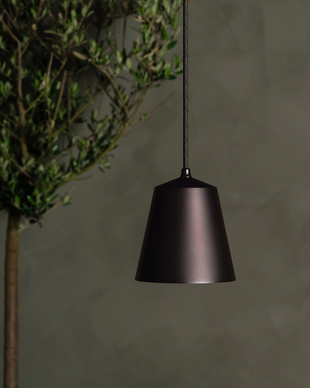 L1