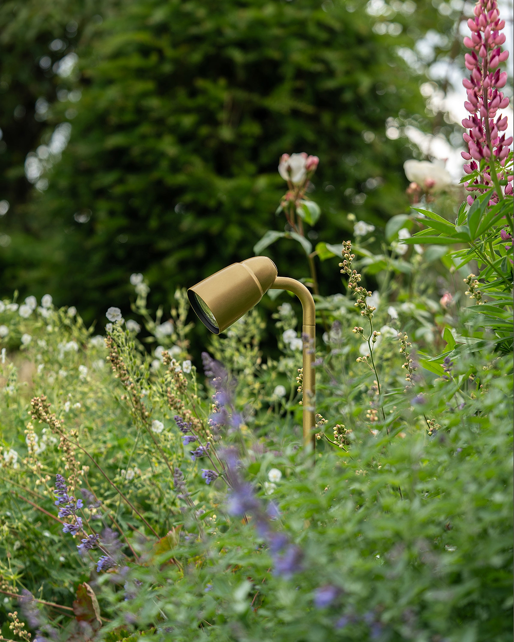 Ealing Path Spotlight – Antique Brass