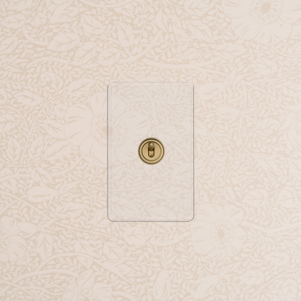 Kew 1G Retractive Toggle Switch - Clear Antique Brass