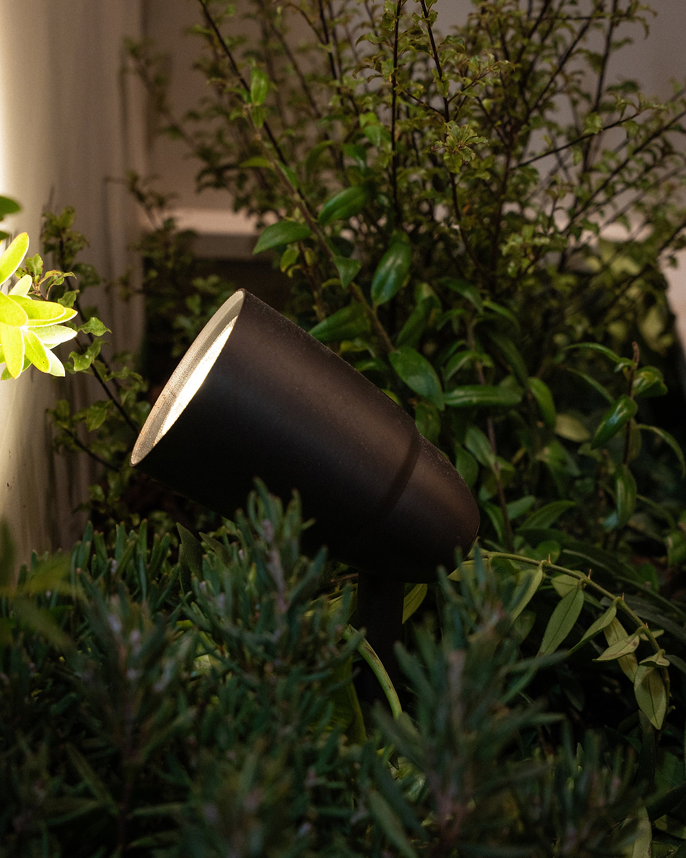 Ealing Yard Spotlight - Bronze