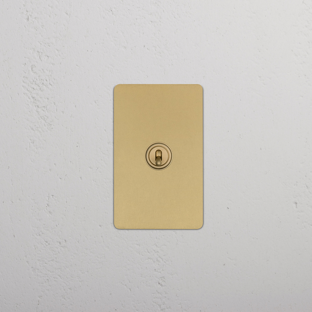 Kew 1G Retractive Toggle Switch - Antique Brass