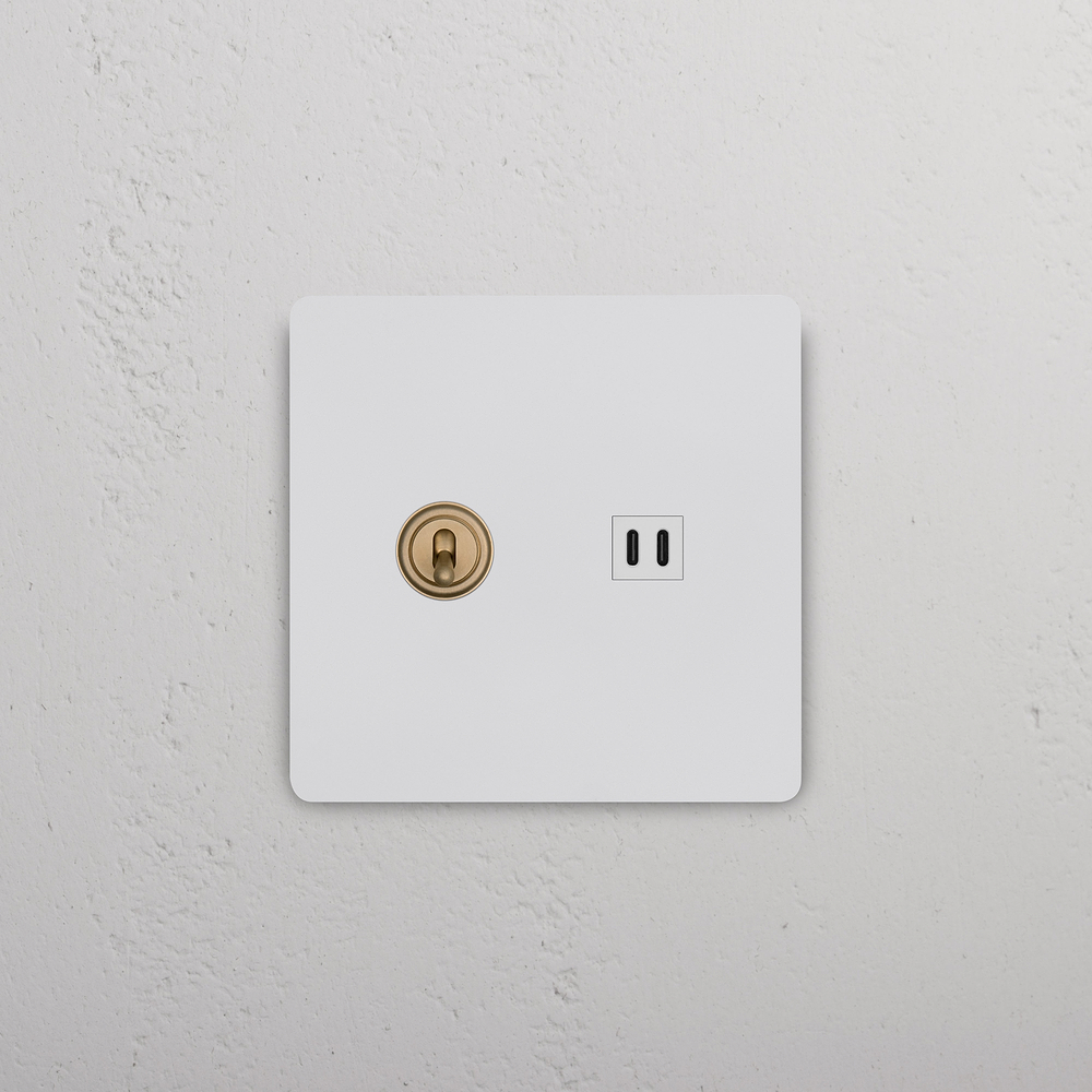 Grove 2G Toggle Switch & Fast Charge USB – Paintable Antique Brass | White
