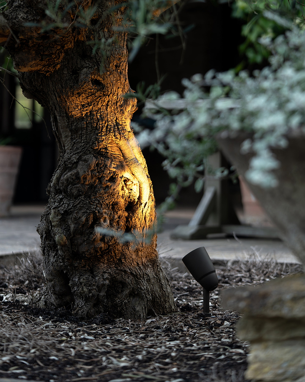 Ealing Yard Spotlight - Bronze