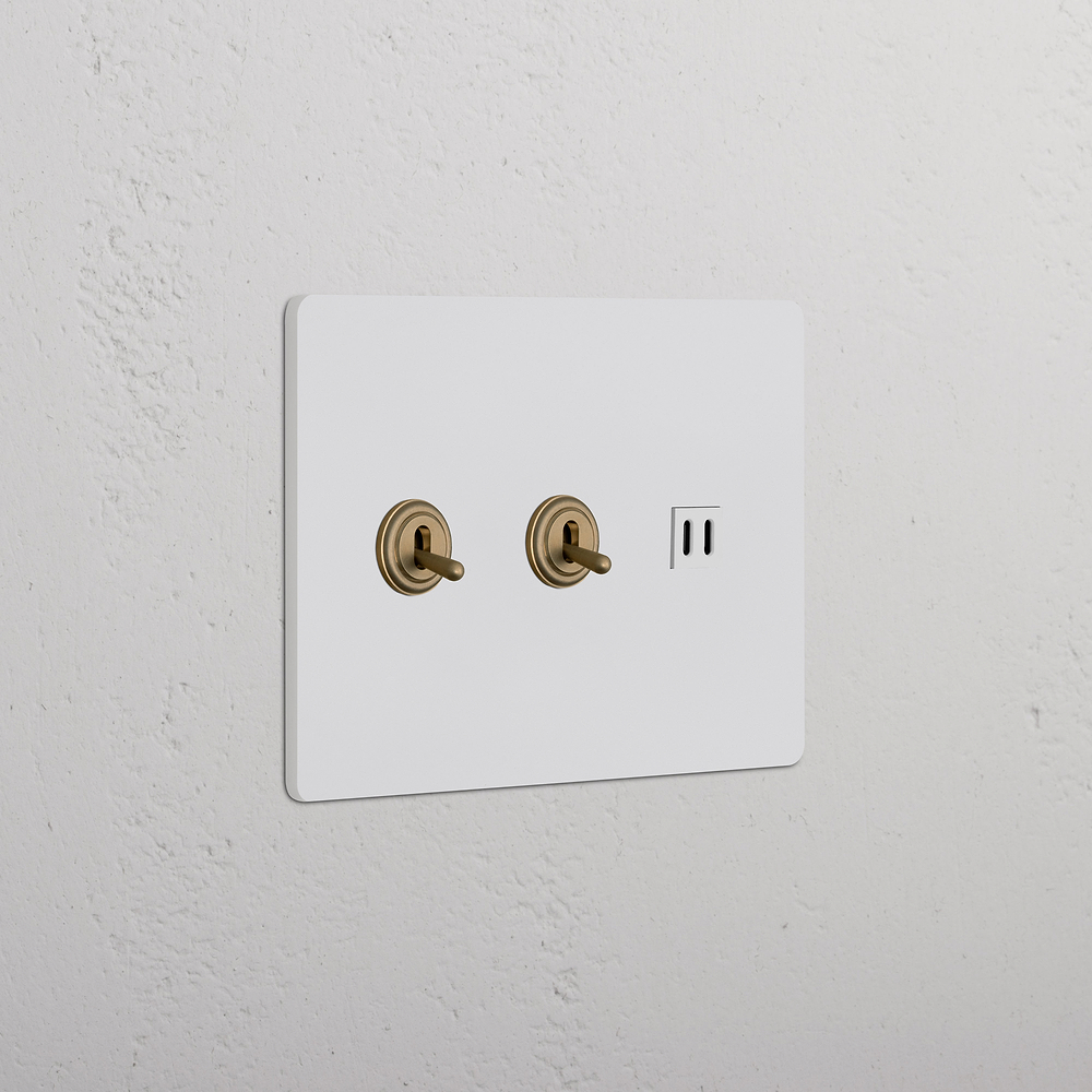 Grove 3G 2x Toggle Switch & Fast Charge USB – Paintable Antique Brass | White