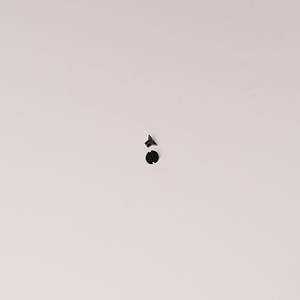 P1