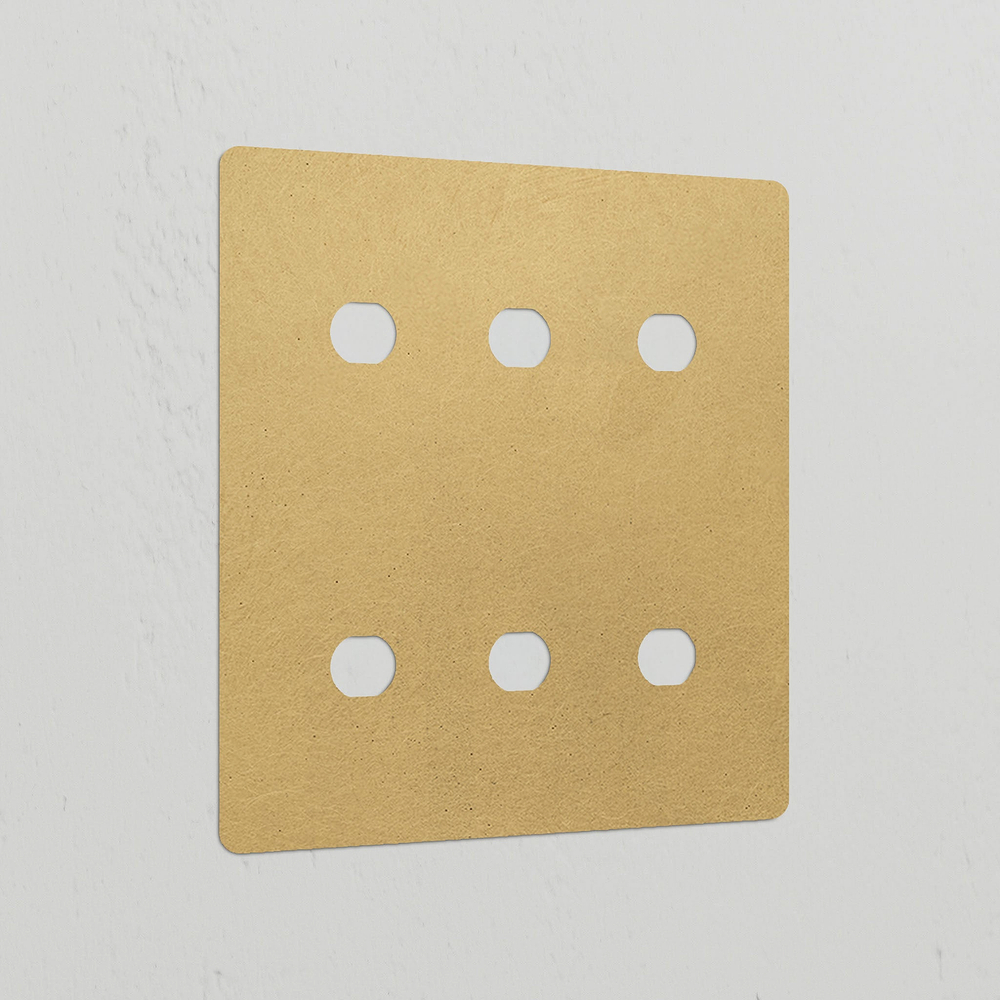6G Switch Plate - Antique Brass