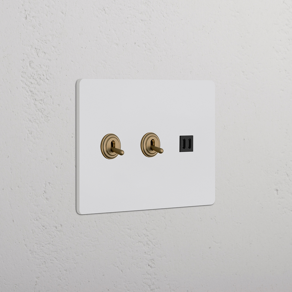 Grove 3G 2x Toggle Switch & Fast Charge USB – Paintable Antique Brass | Black
