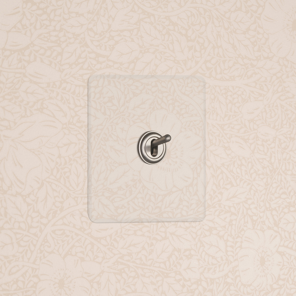Single Toggle Switch - Clear Satin Nickel