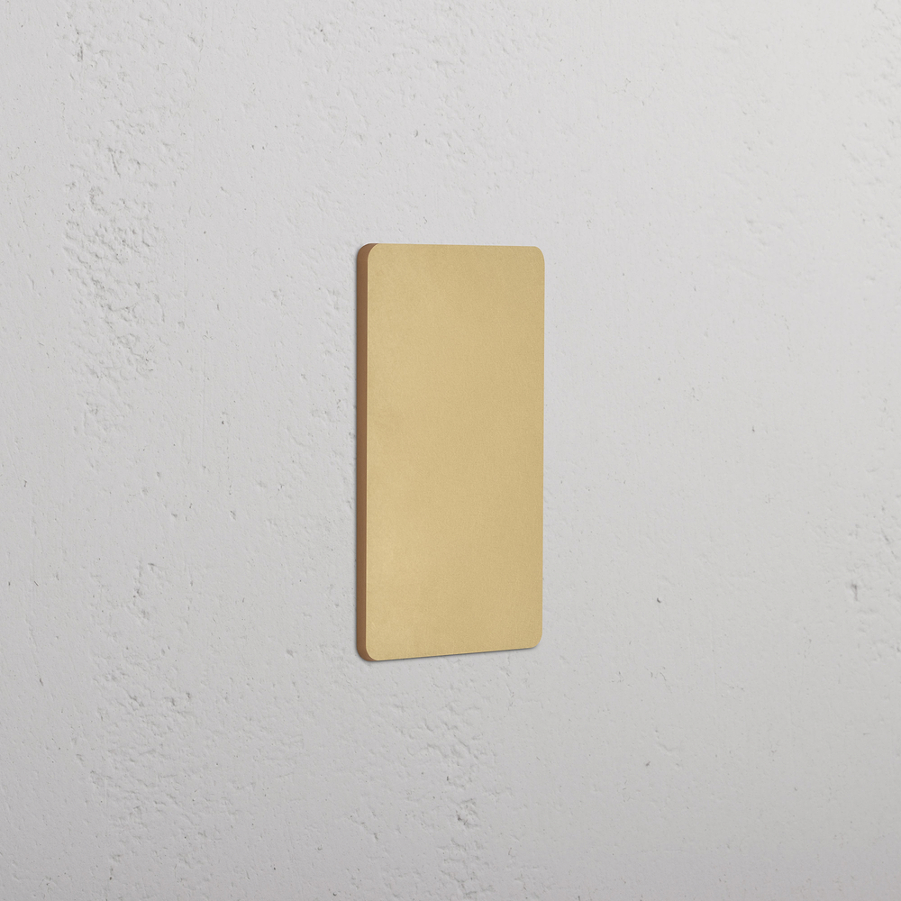 Grove 1G Blank Plate - Antique Brass