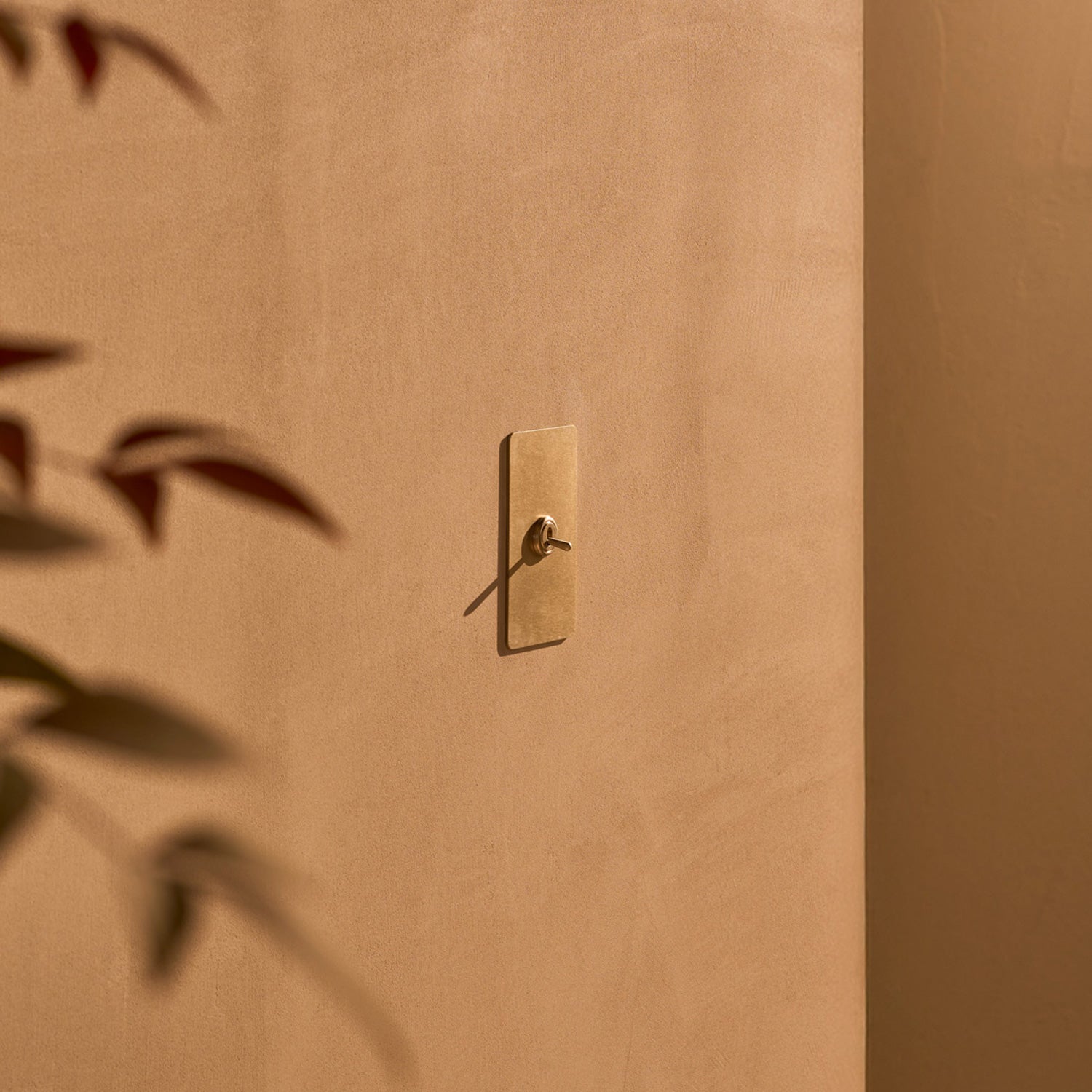 Close-up of a brass wall fixture on a smooth, beige wall, with soft shadows and a hint of green foliage in the foreground.