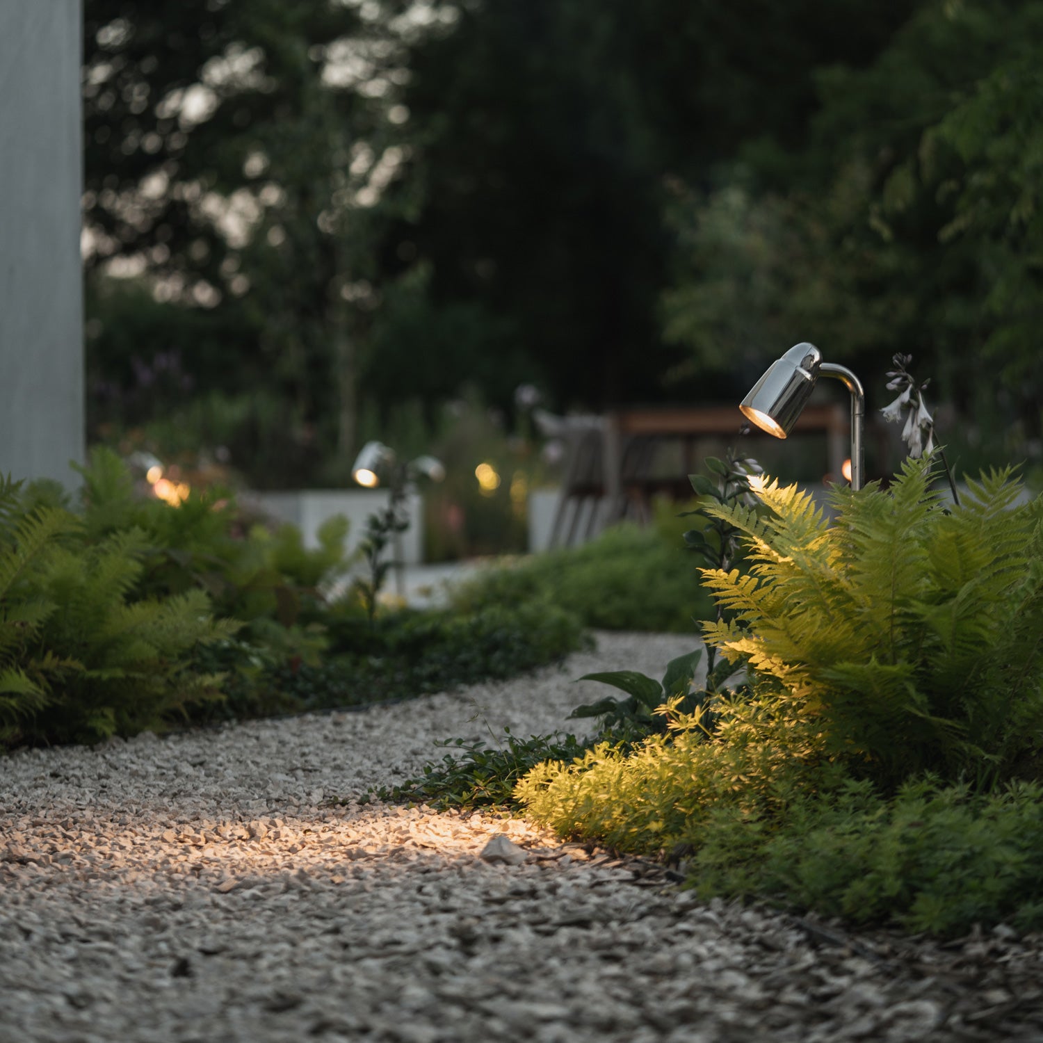 A serene garden path illuminated by soft lighting, lined with lush ferns and greenery, creating a peaceful evening ambiance.