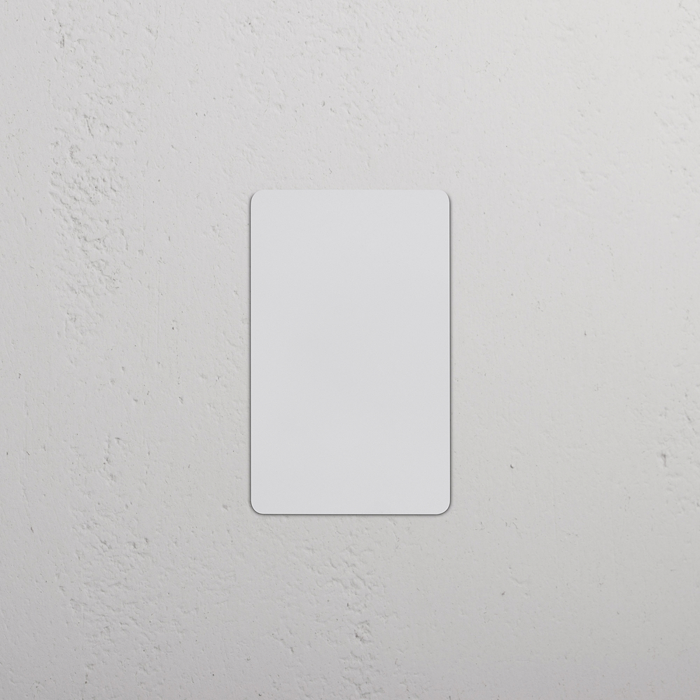 Kew 1G Blank Plate - Paintable