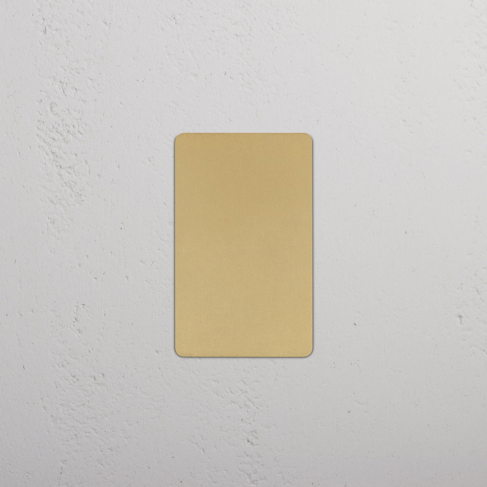 Kew 1G Blank Plate - Antique Brass