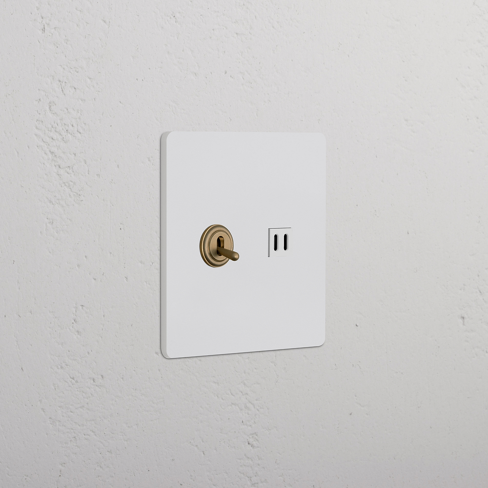 Grove 2G Toggle Switch & Fast Charge USB – Paintable Antique Brass | White