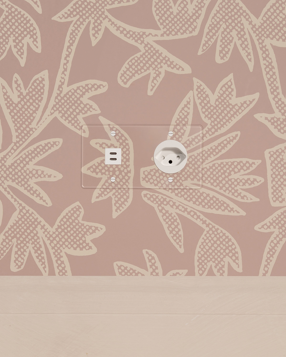 Kew Prise USB-C 30 W & Prise Suisse Type J (Plaque Double) – Transparence | Blanc