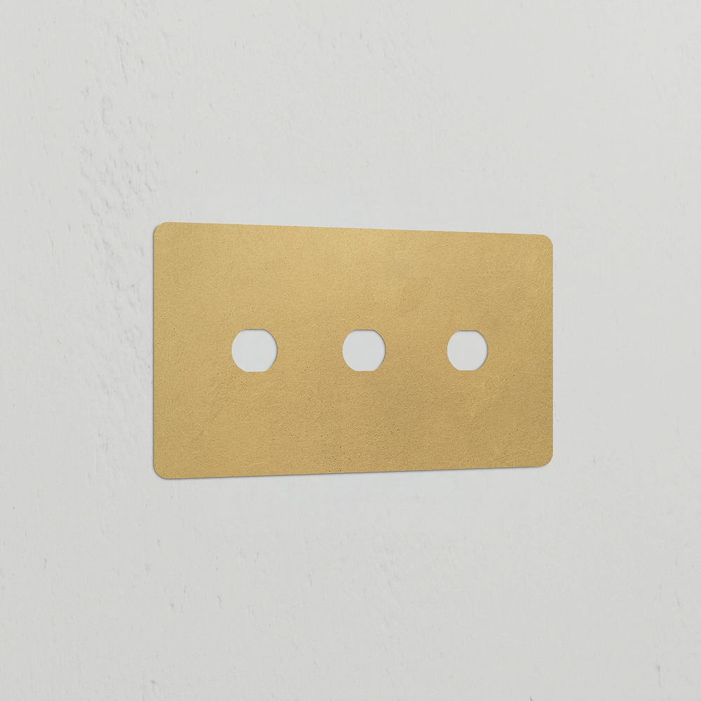 3G Switch Plate - Antique Brass