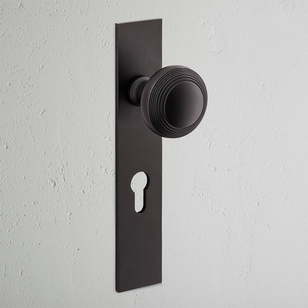 Poplar Long Plate Sprung Door Knob & Euro Lock - Bronze