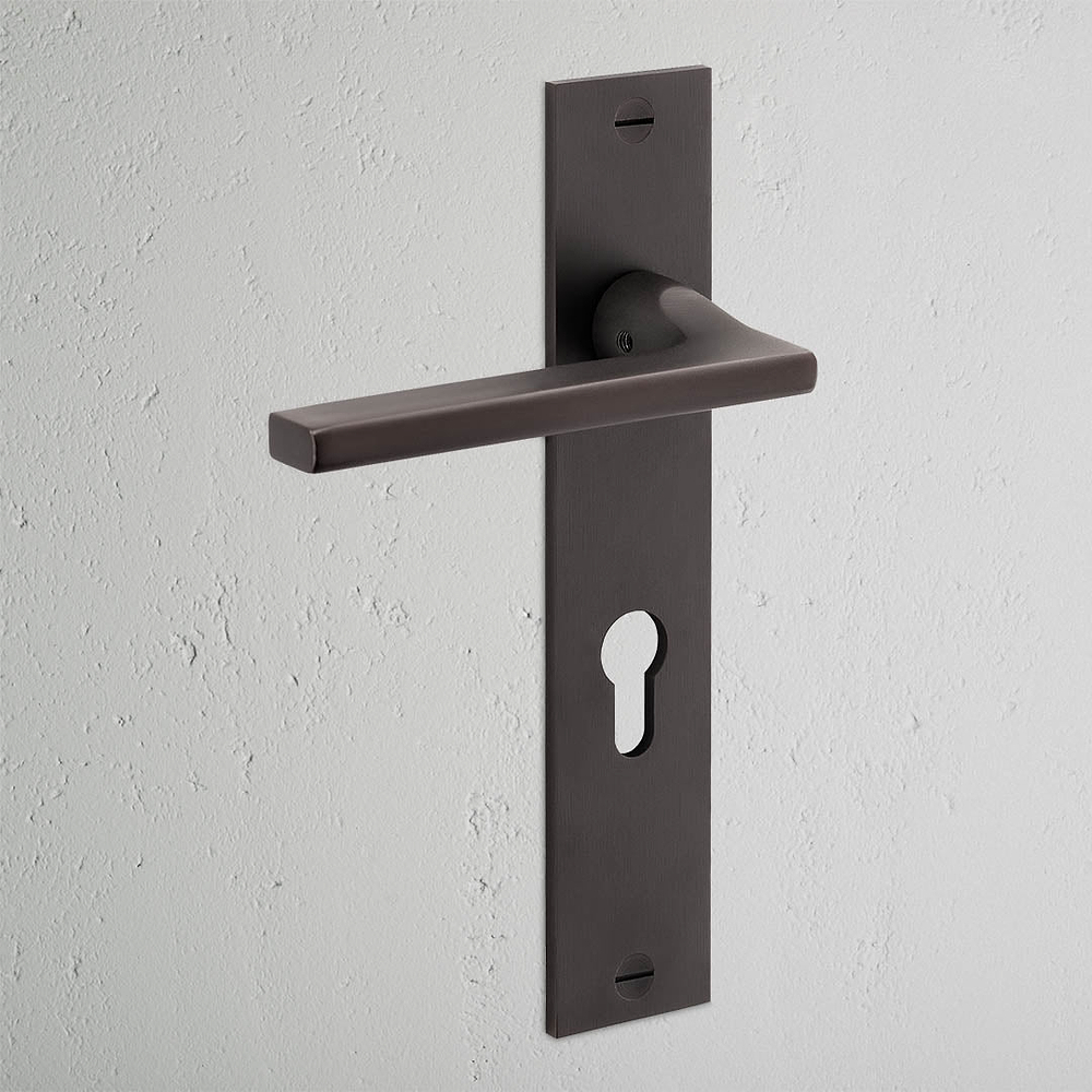 Clayton Long Plate Sprung Door Handle & Euro Lock - Bronze