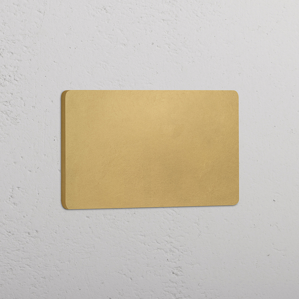 Grove Double Blank Plate - Antique Brass