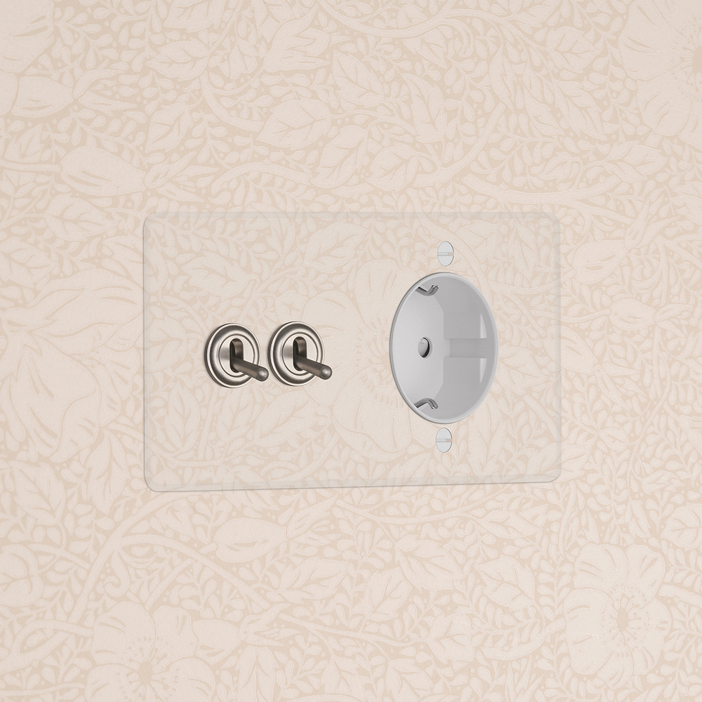 Kew Interrupteur à Levier x2 & Prise Schuko Type F (Plaque Double) – Nickel Poli à Transparence | Blanc