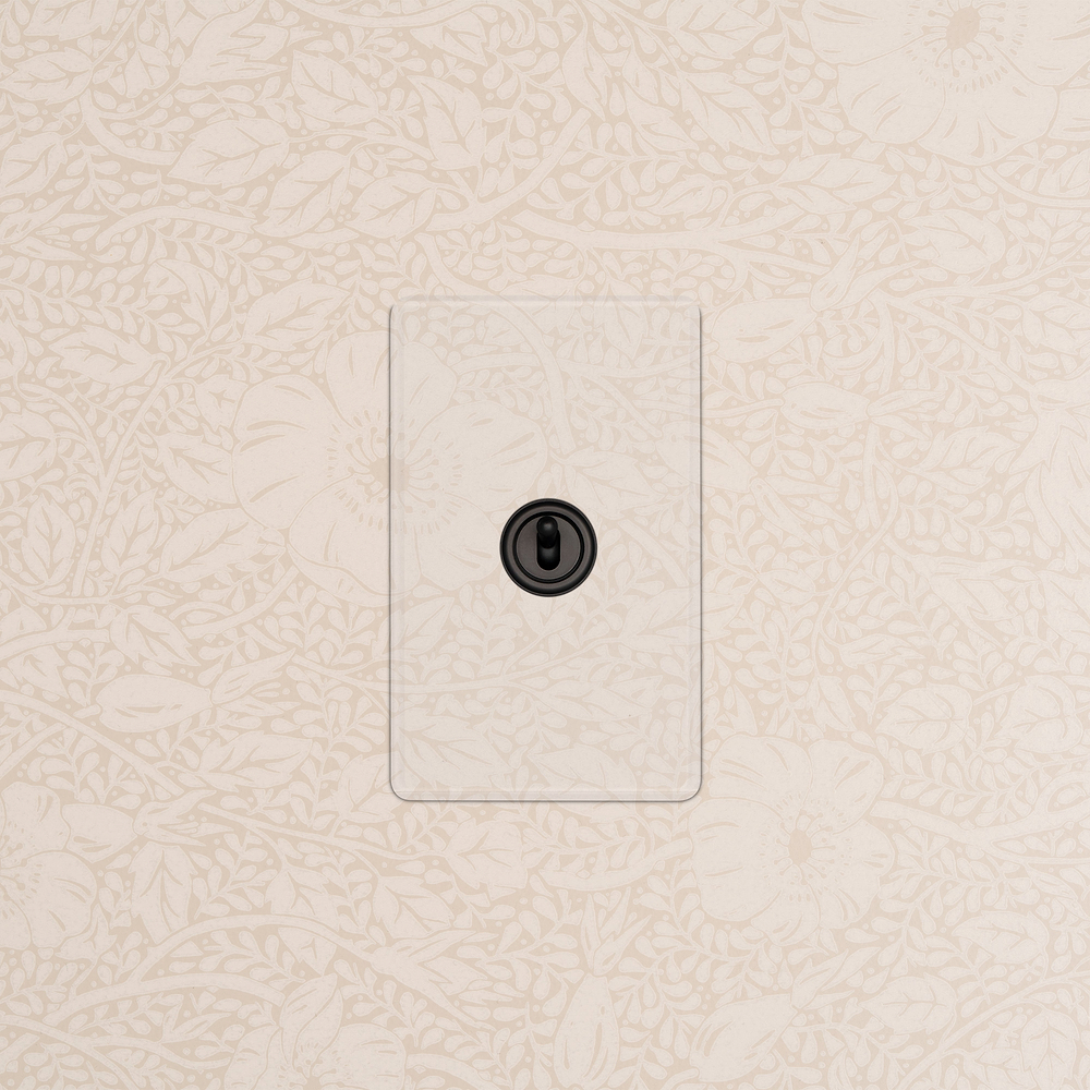 Kew 1G Retractive Toggle Switch - Clear Bronze