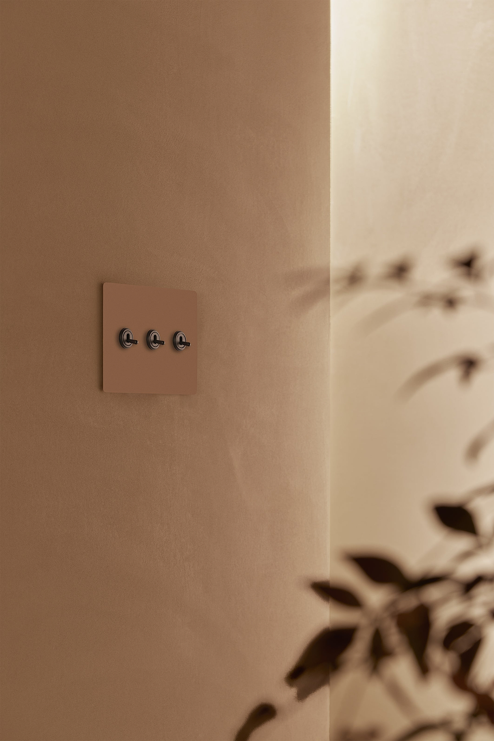P-L1