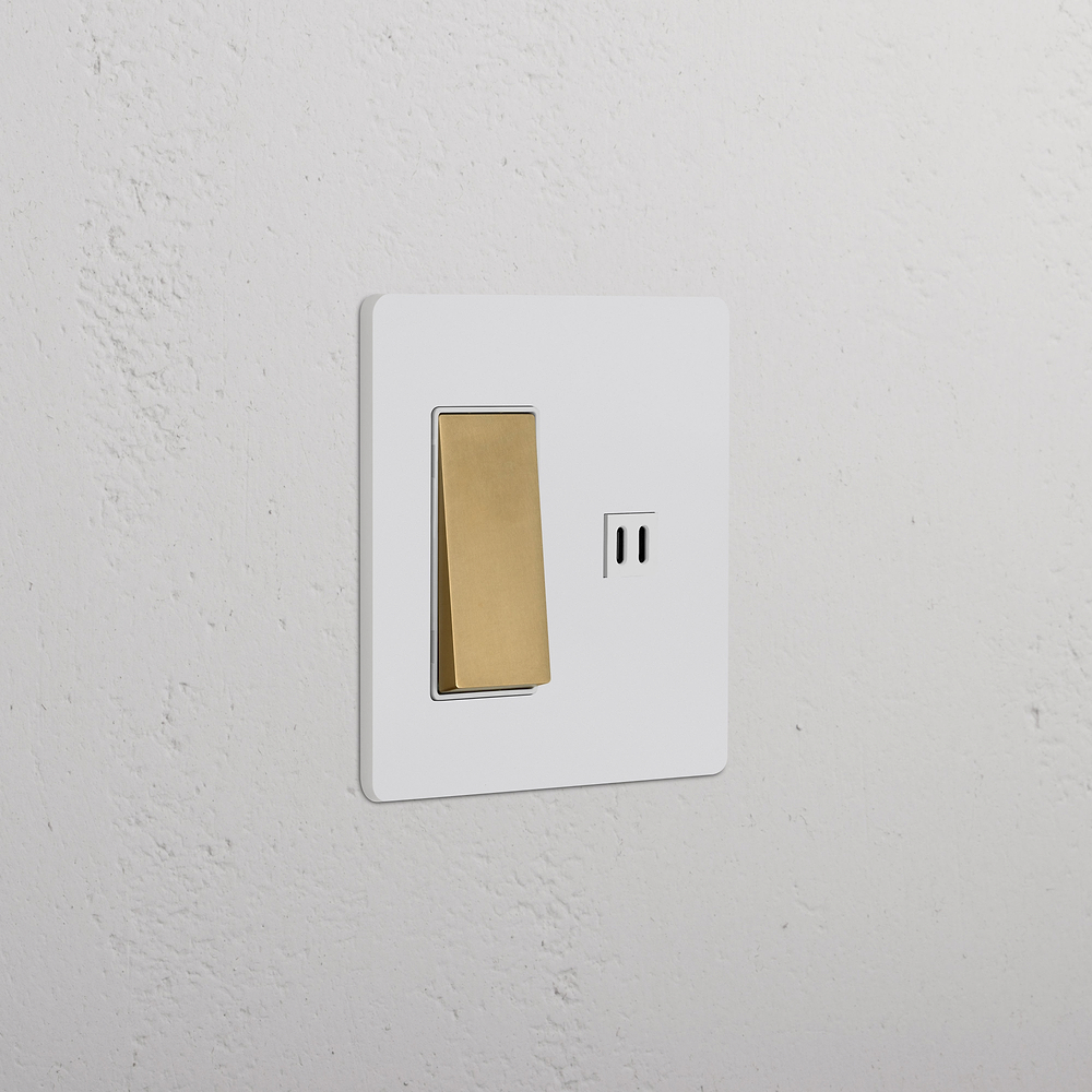 Grove 2G Rocker Switch & Fast Charge USB – Paintable Antique Brass | White