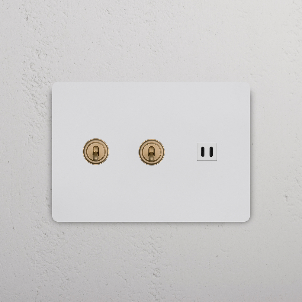 Grove 3G 2x Toggle Switch & Fast Charge USB – Paintable Antique Brass | White