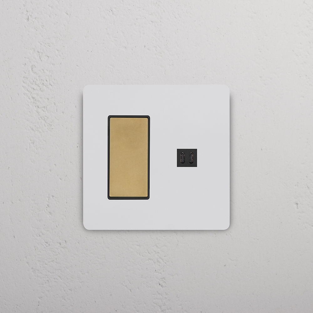 Grove 2G Rocker Switch & Fast Charge USB – Paintable Antique Brass | Black