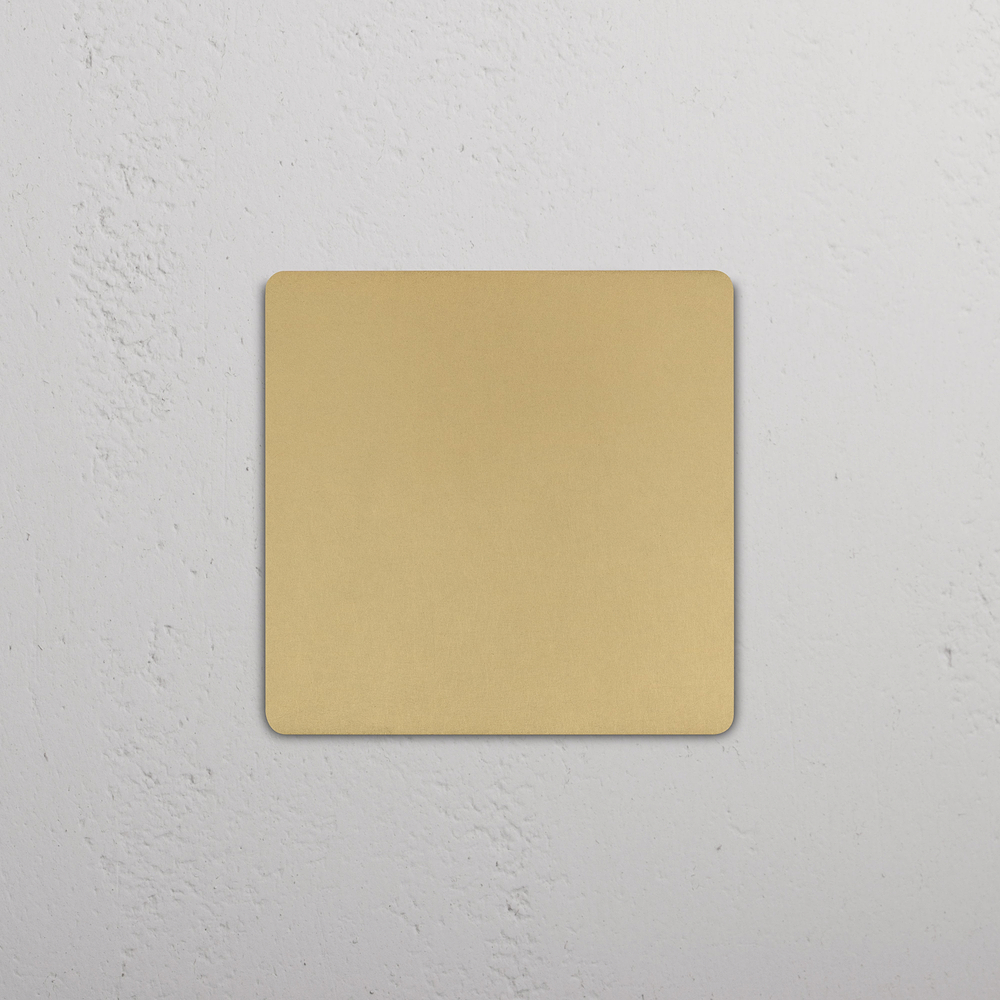 Grove 2G Blank Plate - Antique Brass
