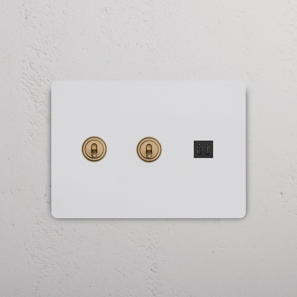 Grove 3G 2x Toggle Switch & Fast Charge USB – Paintable Antique Brass | Black