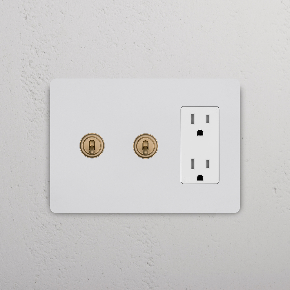 Grove 3G 2x Toggle Switch & Outlet – Paintable Antique Brass | White