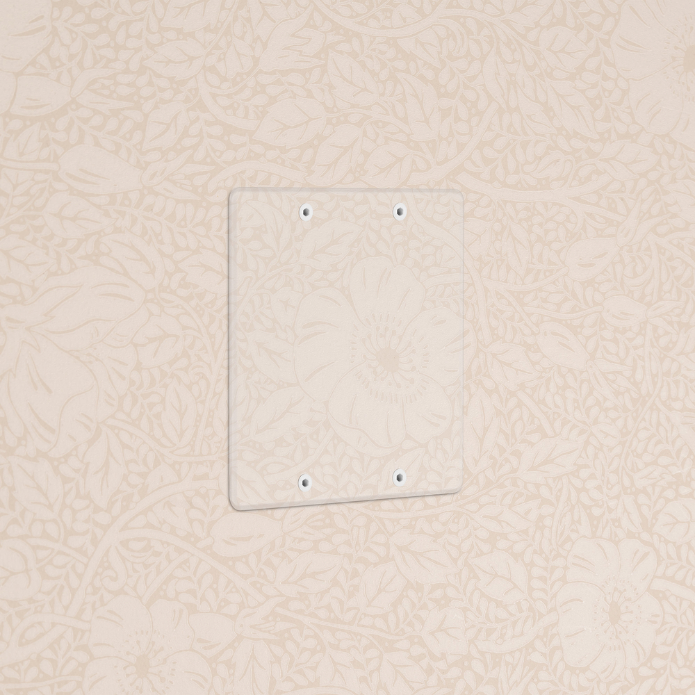 Kew 2G Blank Plate - Clear