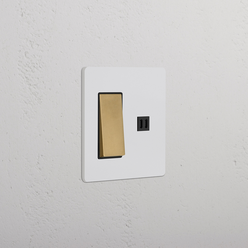 Grove 2G Rocker Switch & Fast Charge USB – Paintable Antique Brass | Black