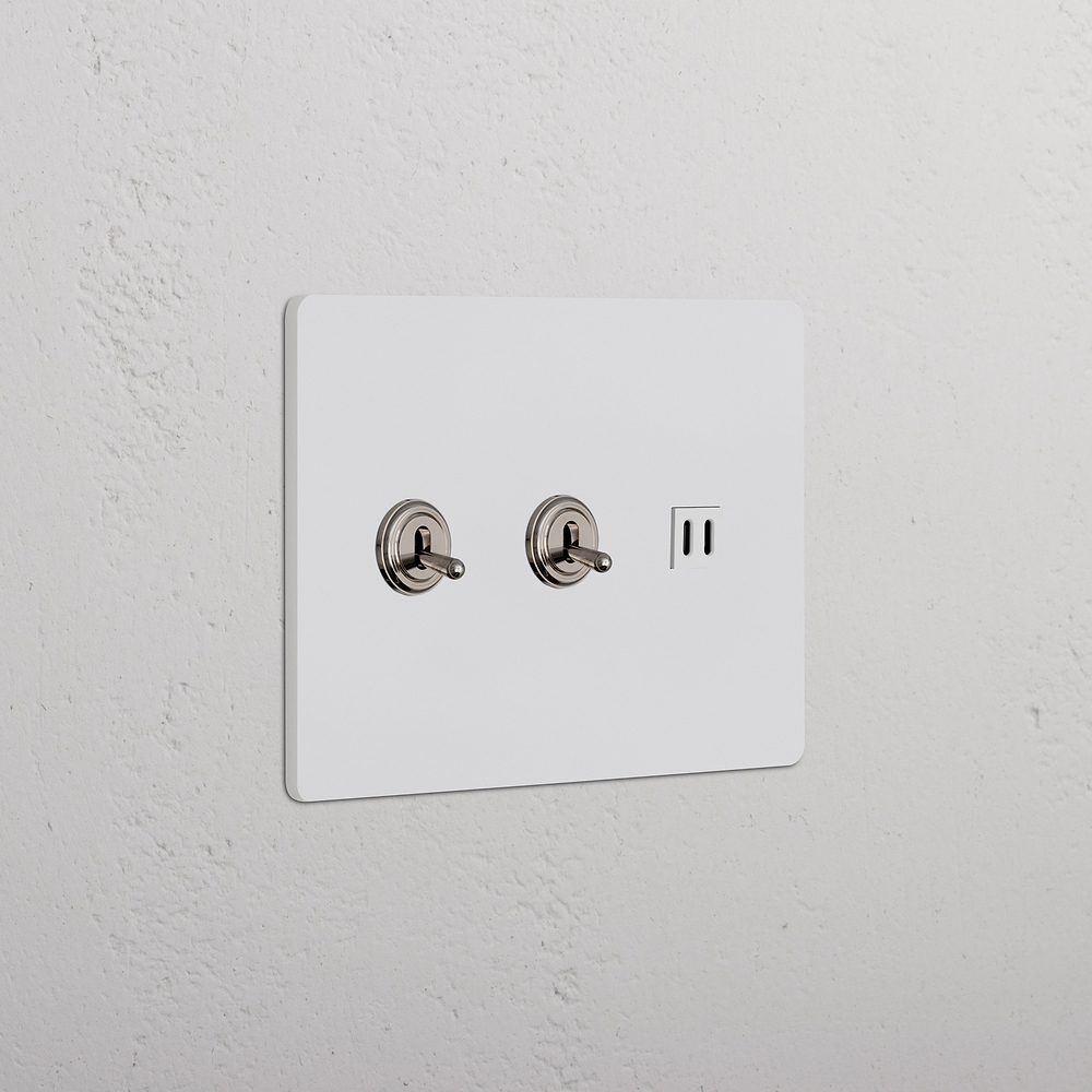 Grove 3G 2x Toggle Switch & Fast Charge USB – Paintable Polished Nickel | White
