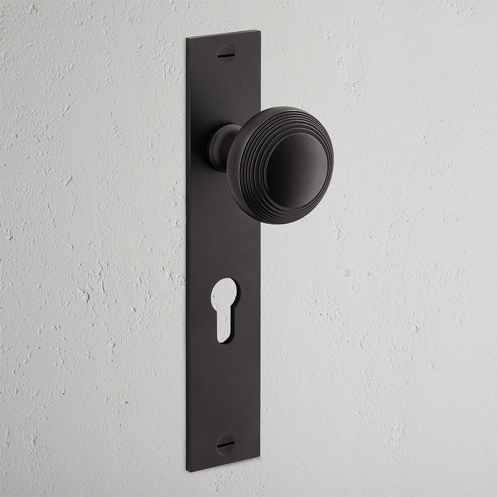 Poplar Long Plate Sprung Door Knob & Euro Lock - Bronze