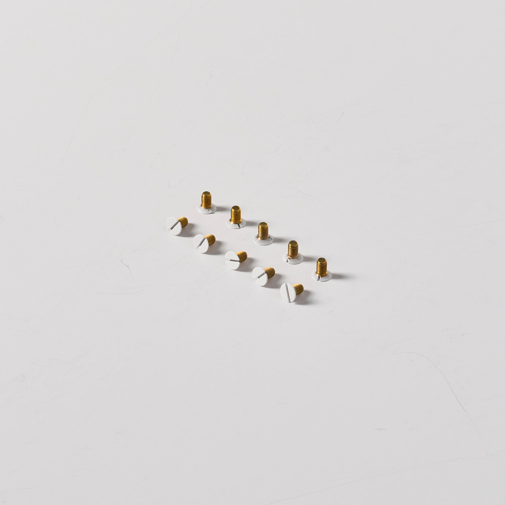 M3.5 x 5mm front plate screws x10 – Paintable