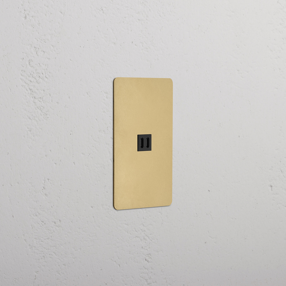 Kew 1G Fast Charge 65W USB Keystone - Antique Brass Black