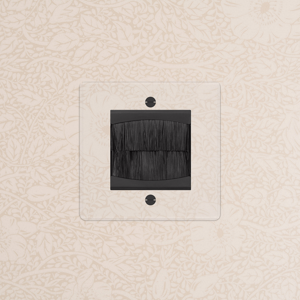Single Brush Plate - Clear | Black