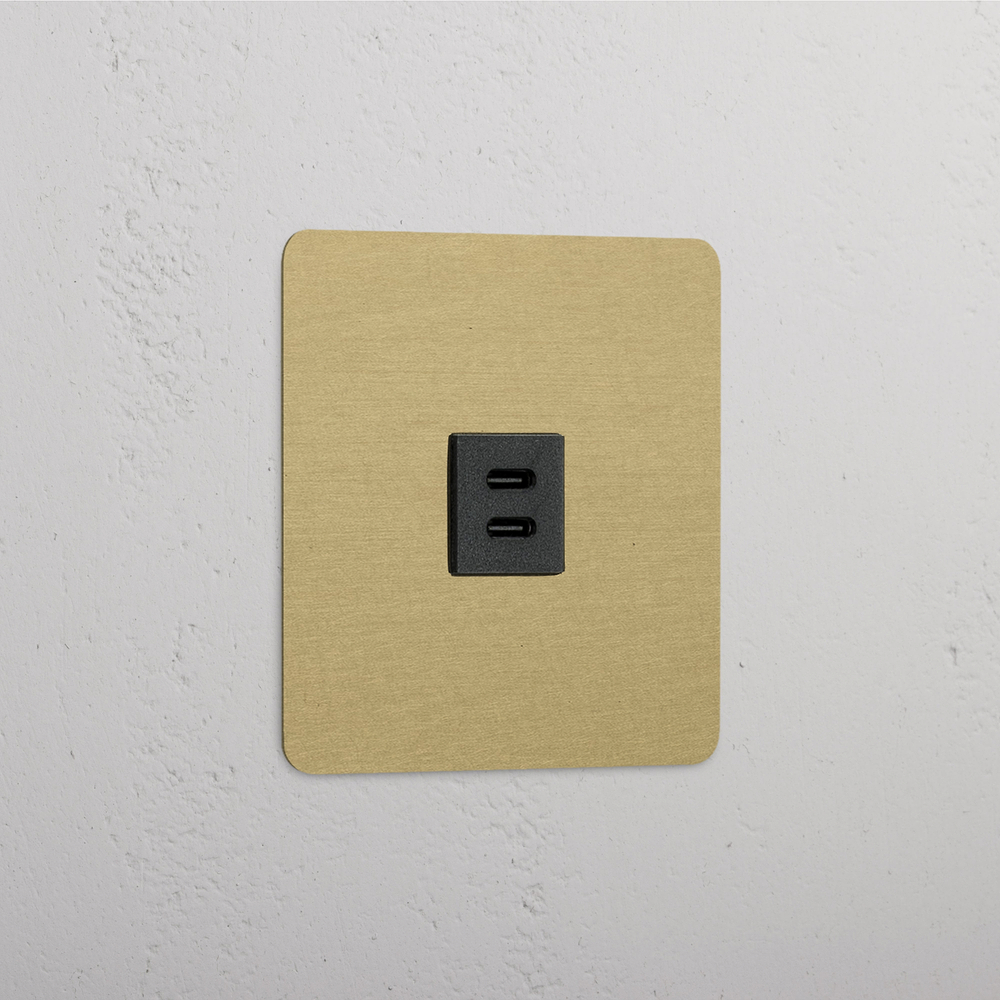 Kew Tomada USB-C 30 W individual - Latão Antigo | Preto