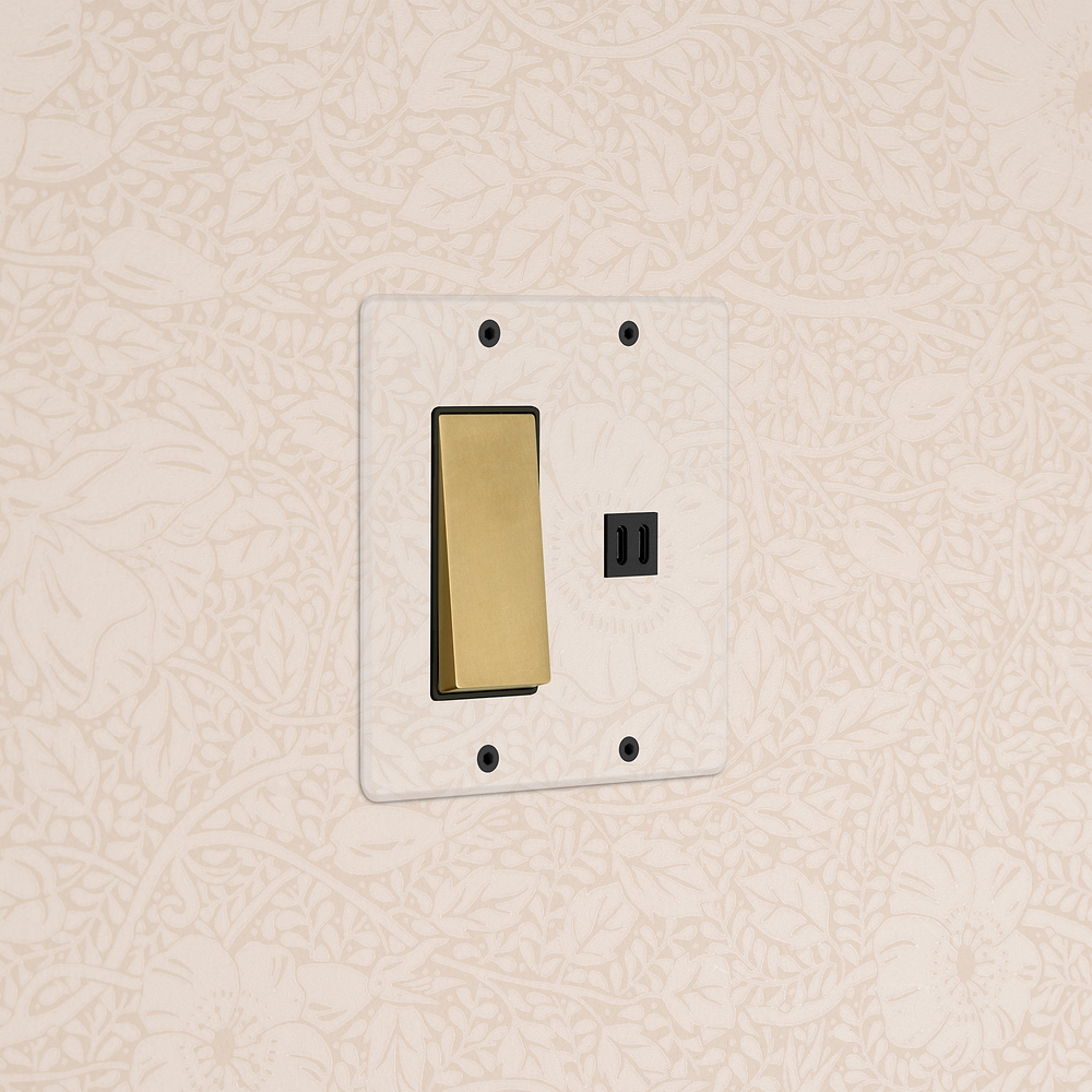 Kew 2G Rocker Switch & Fast Charge USB - Clear Antique Brass Black
