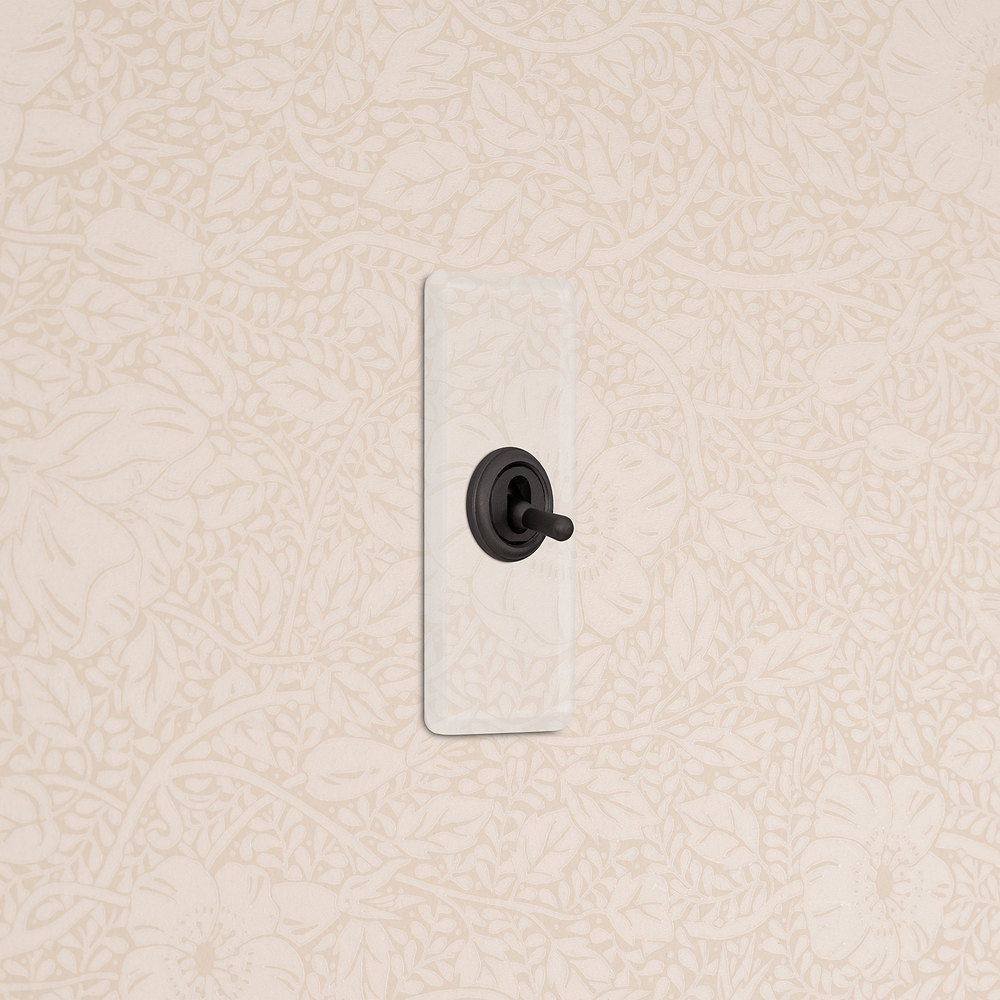 1G Architrave Two Way Toggle Switch - Clear Bronze